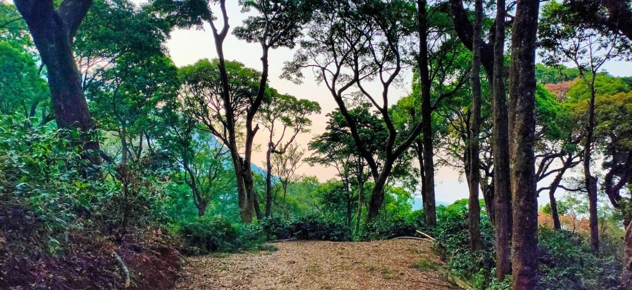 Niraamaya Blue Mountain -Chikmagalur Acomodação com café da manhã Tarikere Exterior foto